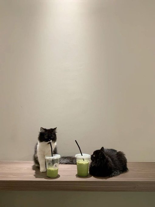 they're on a date