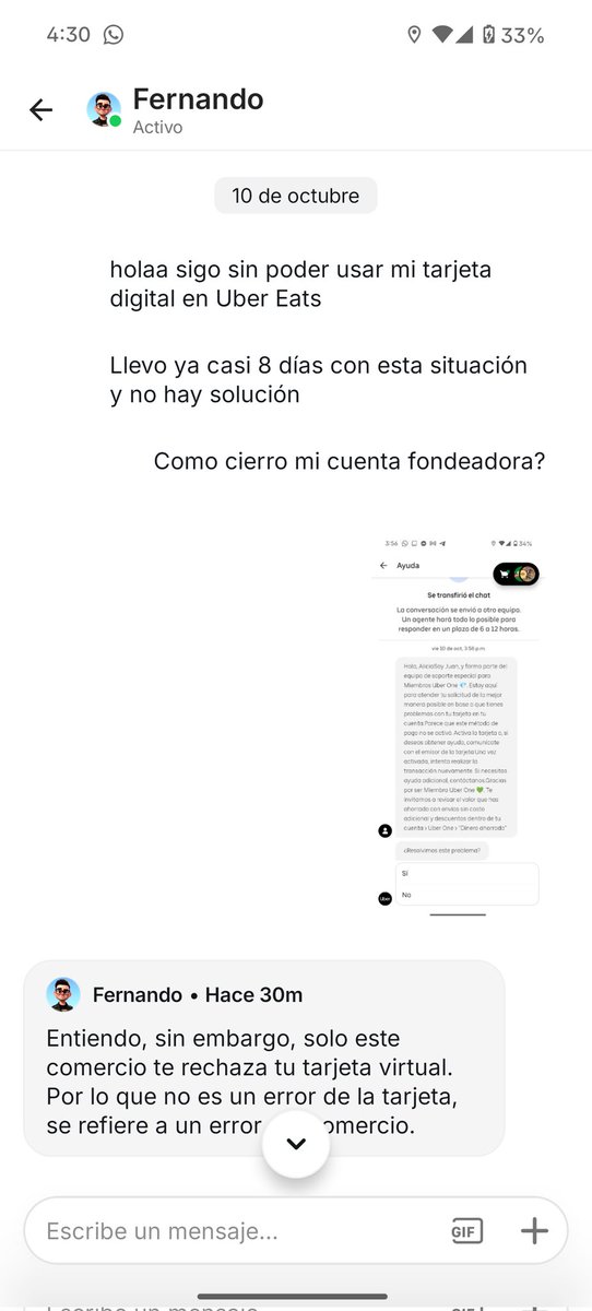 Alicia Izquierdo 🌻 tweet media