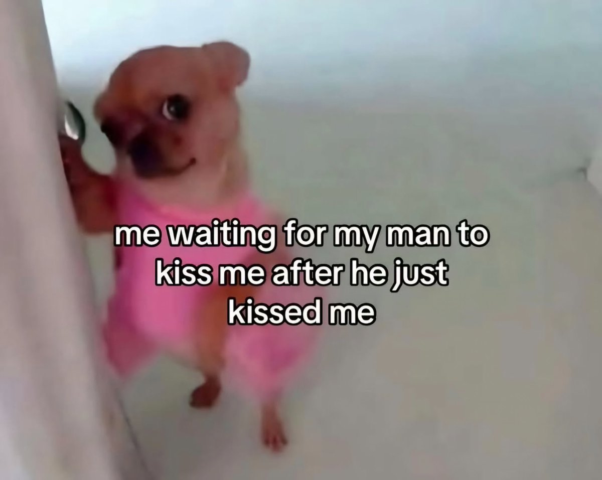 Out Of Context Animals (@animalscontexts) on Twitter photo 