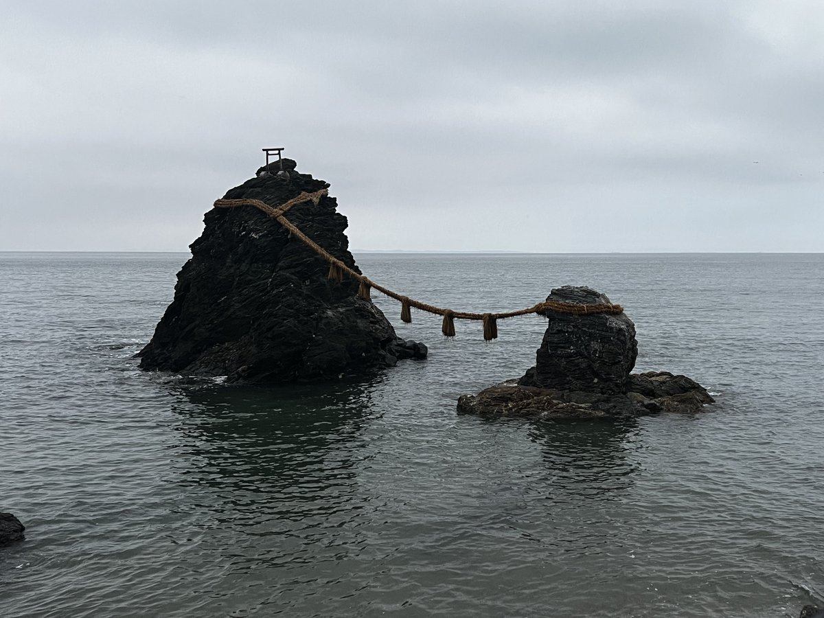 g_u_u_3's tweet image. Day 3…
