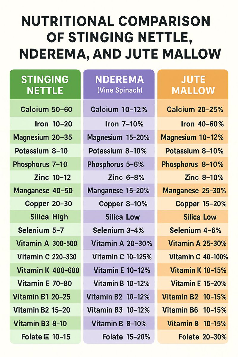 PBC8 Daily tweet media