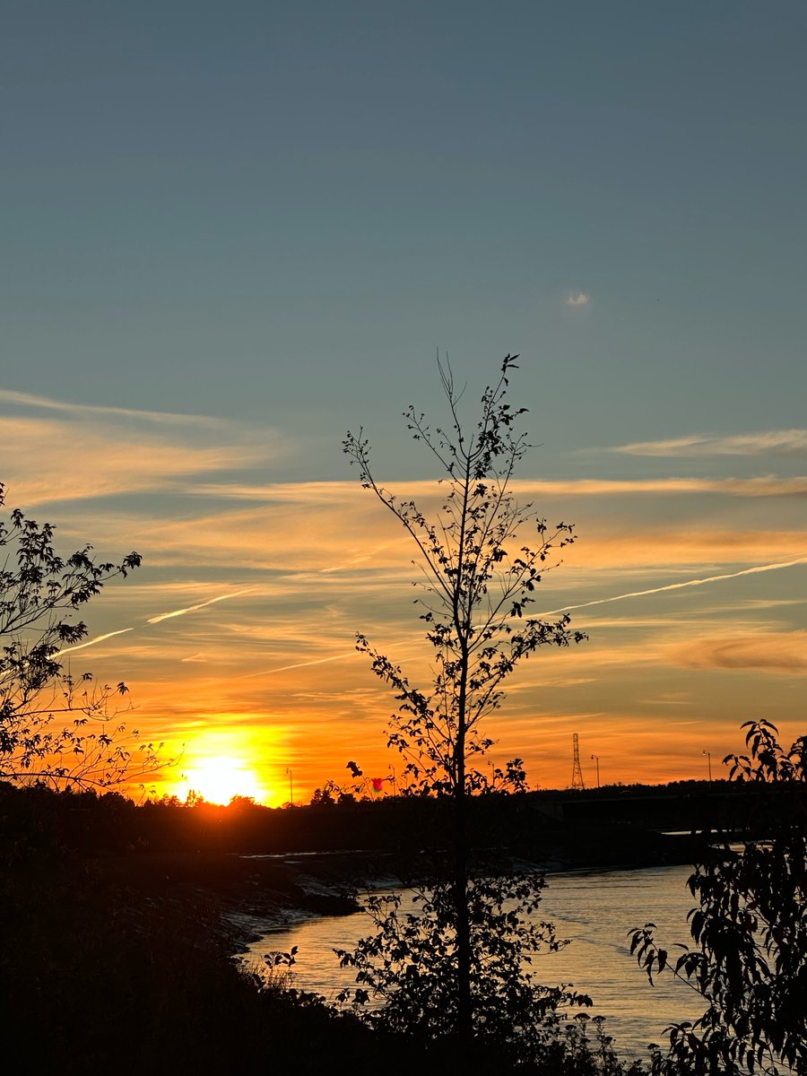 Wishing you a good day/evening/night🥰My 📸
This weekend is Canadian Thanksgiving. I have so much to be thankful for for. I wish all my fellow Canadians a very Happy Thanksgiving 🍁. To all of you thank you for all your RTs, likes &amp; most of all for your contributions to this