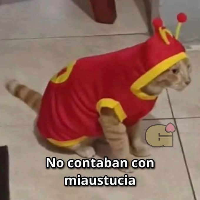 😸🤣😂😂
