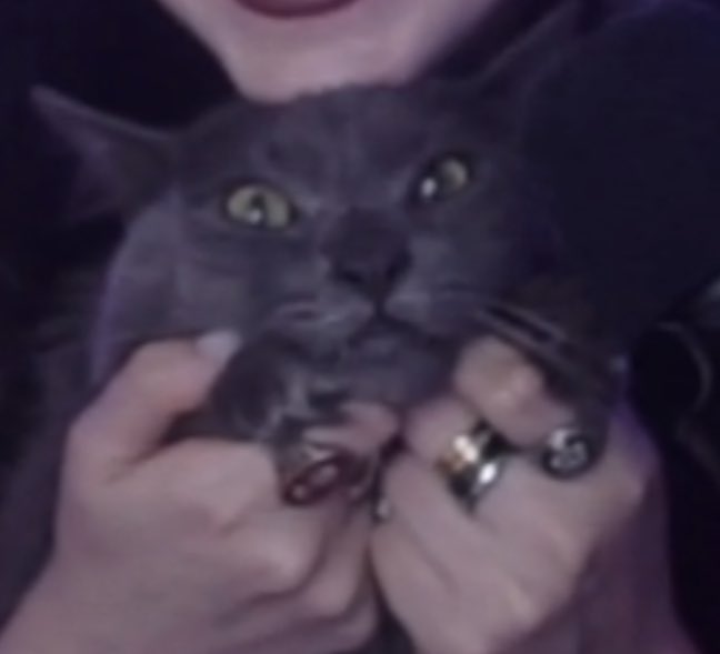 The absolute love of my life.