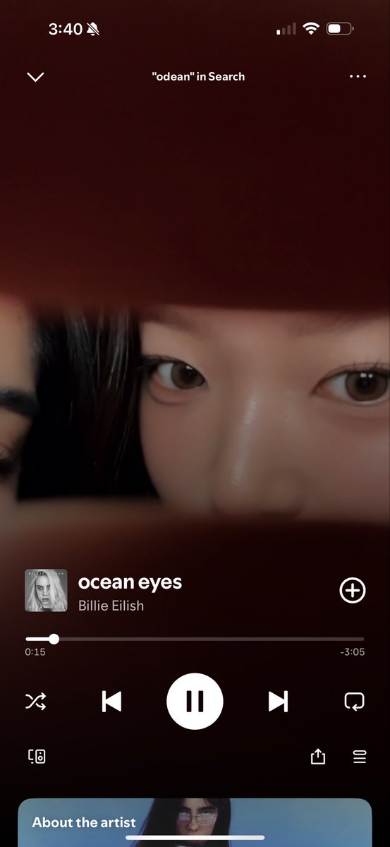 meizinill's tweet image. BILLIE PUT THEM ON THE SPOTIFY TRACK VID?? WHY NO ONE TELL ME