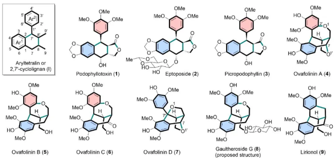 ChineseChemSoc's tweet image. .@CCSChemistry Article Highlight: Enantioselective Synthesis of Polycyclic Aromatic Tetralinyl Lignans Based on Symmetry-Directed Strategy 

Click to read: chinesechemsoc.org/do/10.5555/f13… 

#chemistry #openaccess #science #chemtwitter