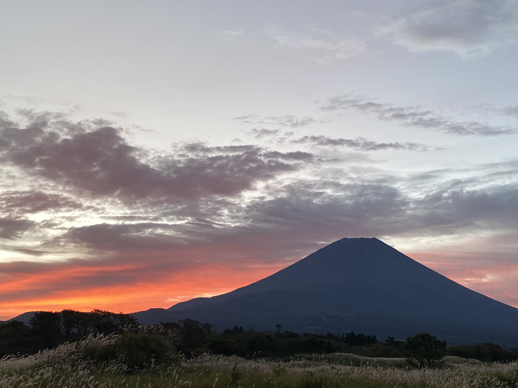 富士山コレクター大宮仁 on X: 