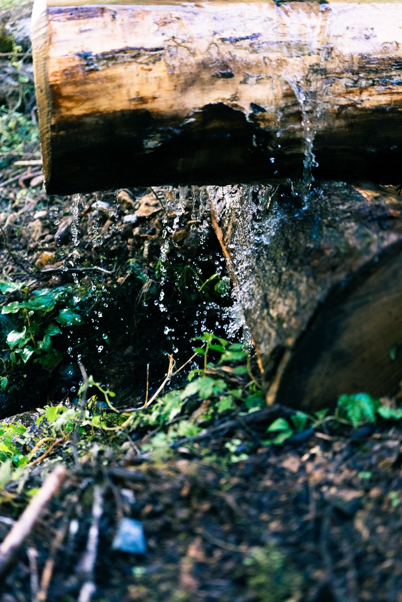 VDtB9sCfPT71383's tweet image. 水！

#WaterDrop #NaturePhotography #ForestStream #FreshWater #MacroNature #WoodAndWater #NaturalTextures #飛騨高山 #森のしずく  #水滴 #ZVE1 #fe2450G