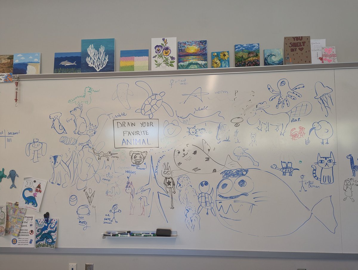 Mandy Kotraba tweet media