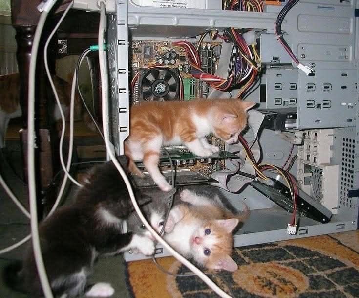 Please be patient, our technical team is working very hard to resolve the issue.