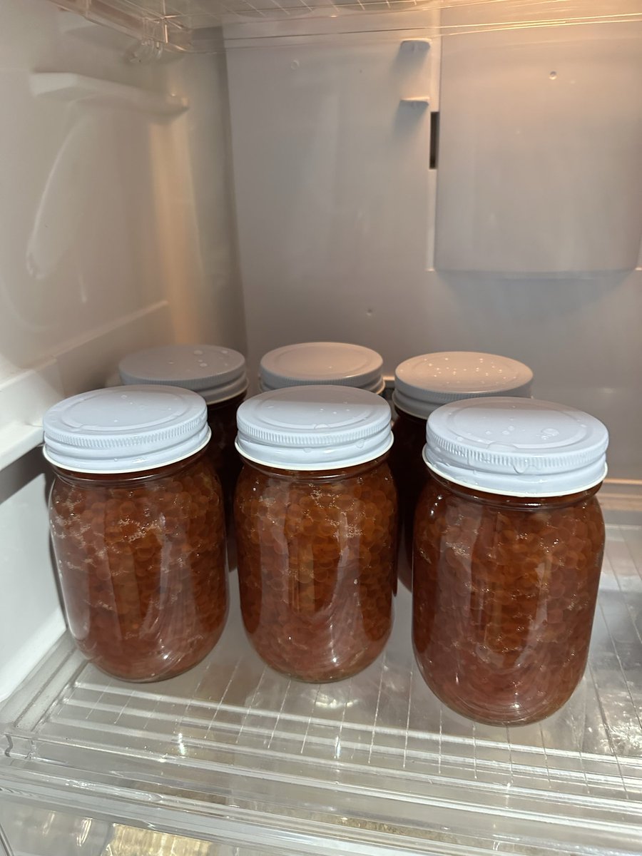 おはよーございます🙇🏻‍♂️🐲 今日から3日間セール 早めに来て下さいニシアフ安い😅 今年初のいくら😅😅高いね😭 #ドラゴン札幌  #爬虫類ショップ #いくら漬け #カメレオンハウス #除雪排雪 #龍和工業