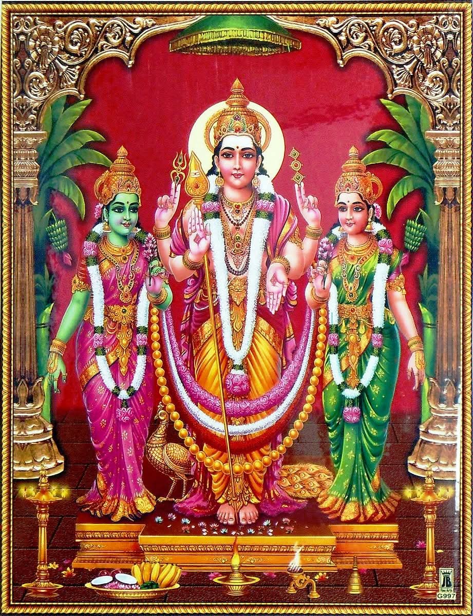 ShriRam_Rajpal's tweet image. Who Are the Wives of Lord Murugan and What Do They Represent?

Did you know Lord Murugan has two wives?
❤️ Their stories hide deep spiritual secrets.
🌿 Let’s uncover what Deivanai &amp;amp; Valli truly represent 🧵👇