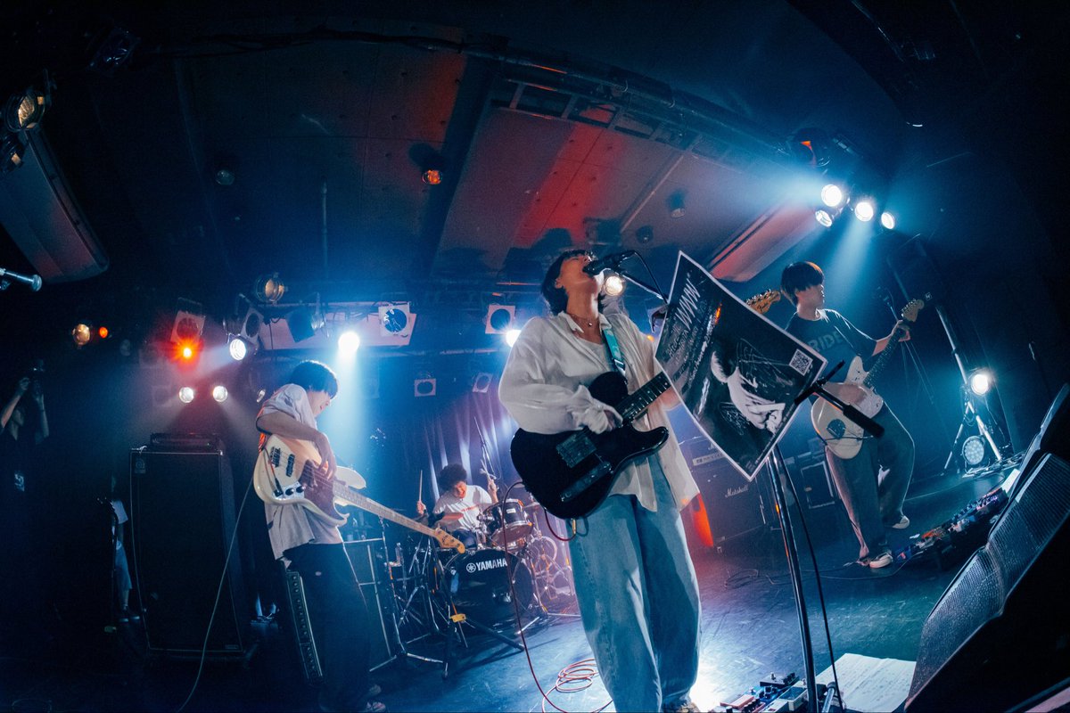 Hammer Head Shark on X