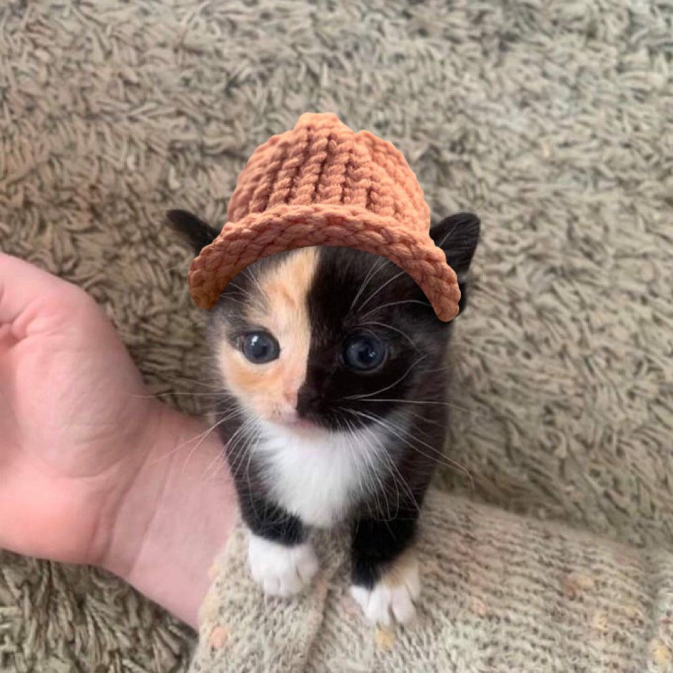 Cuteness overload: handle with care $cwif