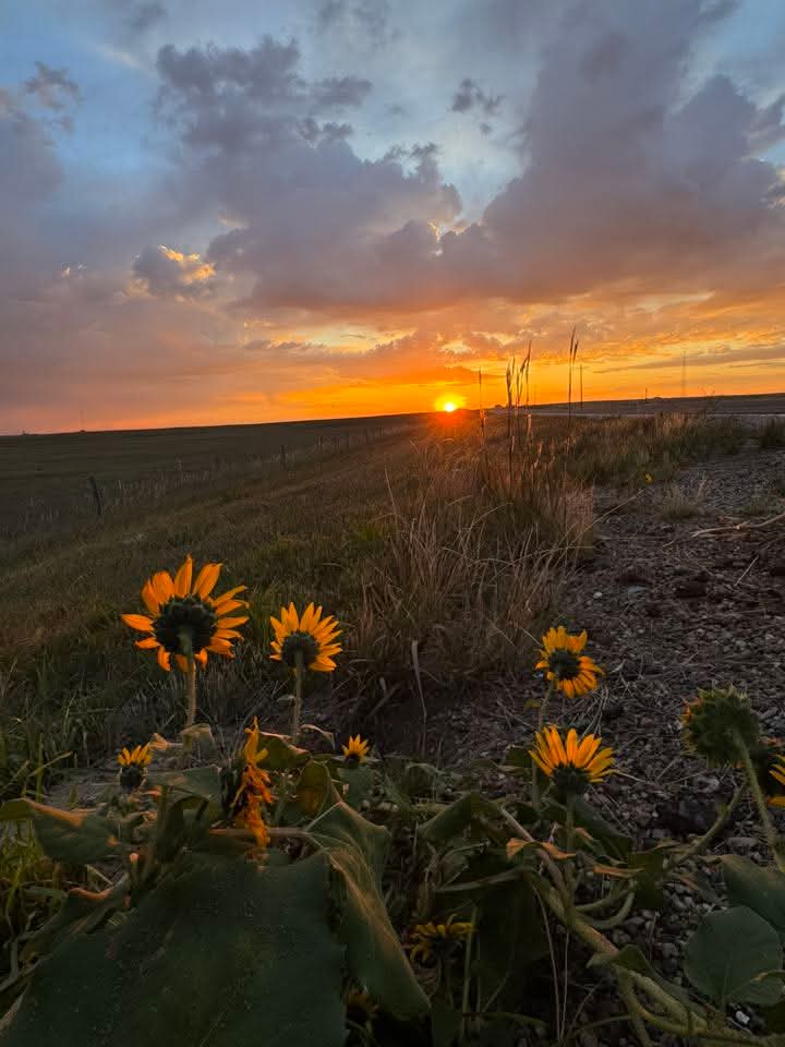 اللَّهُمَّ بِكَ أَصْبَحْنَا وَعَلِيكَ تَوَكَّلْنَا وَأَنْتَ خَيْر الحَافِظِينَ🧡
اللَّهُمَّ صَبَاحًا وَأَيَّامًا لَا يَمْسُّنَا فِيهَا أَيَّ سُوءٍ 🧡

صَــبَــاحُ الــخَــيْــرِ⛅🧡☕