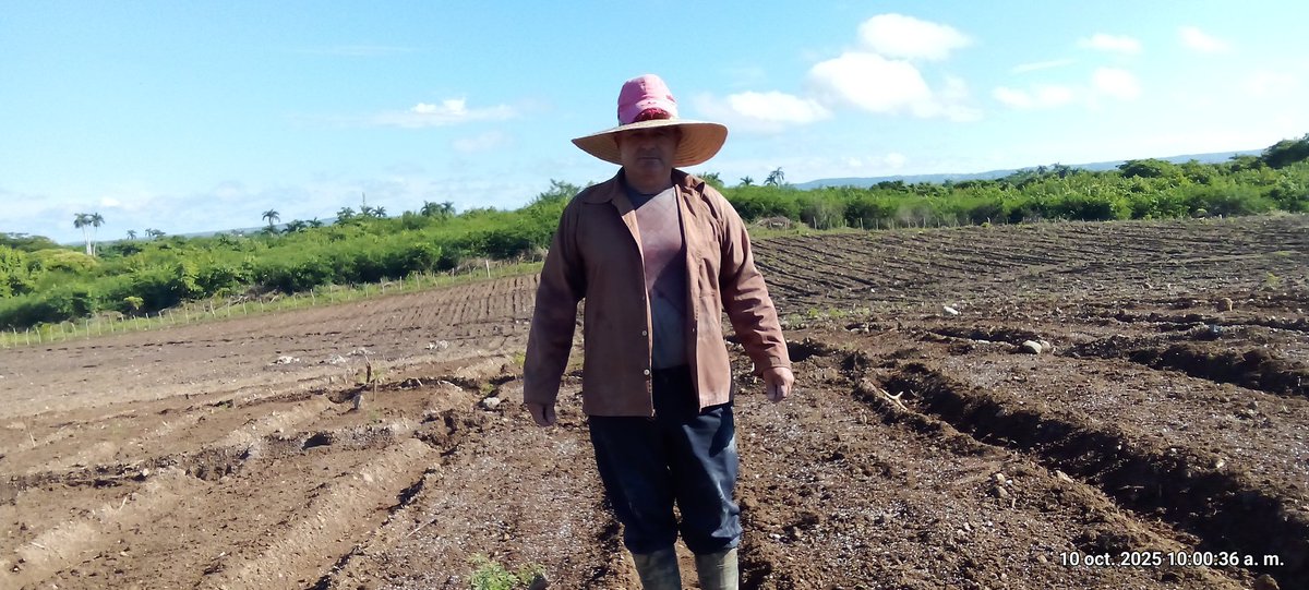 anelys_ramirez's tweet photo. Hoy 10 de octubre en saludo al inicio de la guerra de independencia, la siembra de Tabaco sol en palo, productor Carlos Miguel Díaz Camacho, CCS Juan Manuel Márquez y riega de semilla del productor Diusmany en #Tagusco
#SanctiSpirítusEnMarcha
#minag @DiazCanelB @DeivyPrezMartn1 https://t.co/2CUdHP0TQa