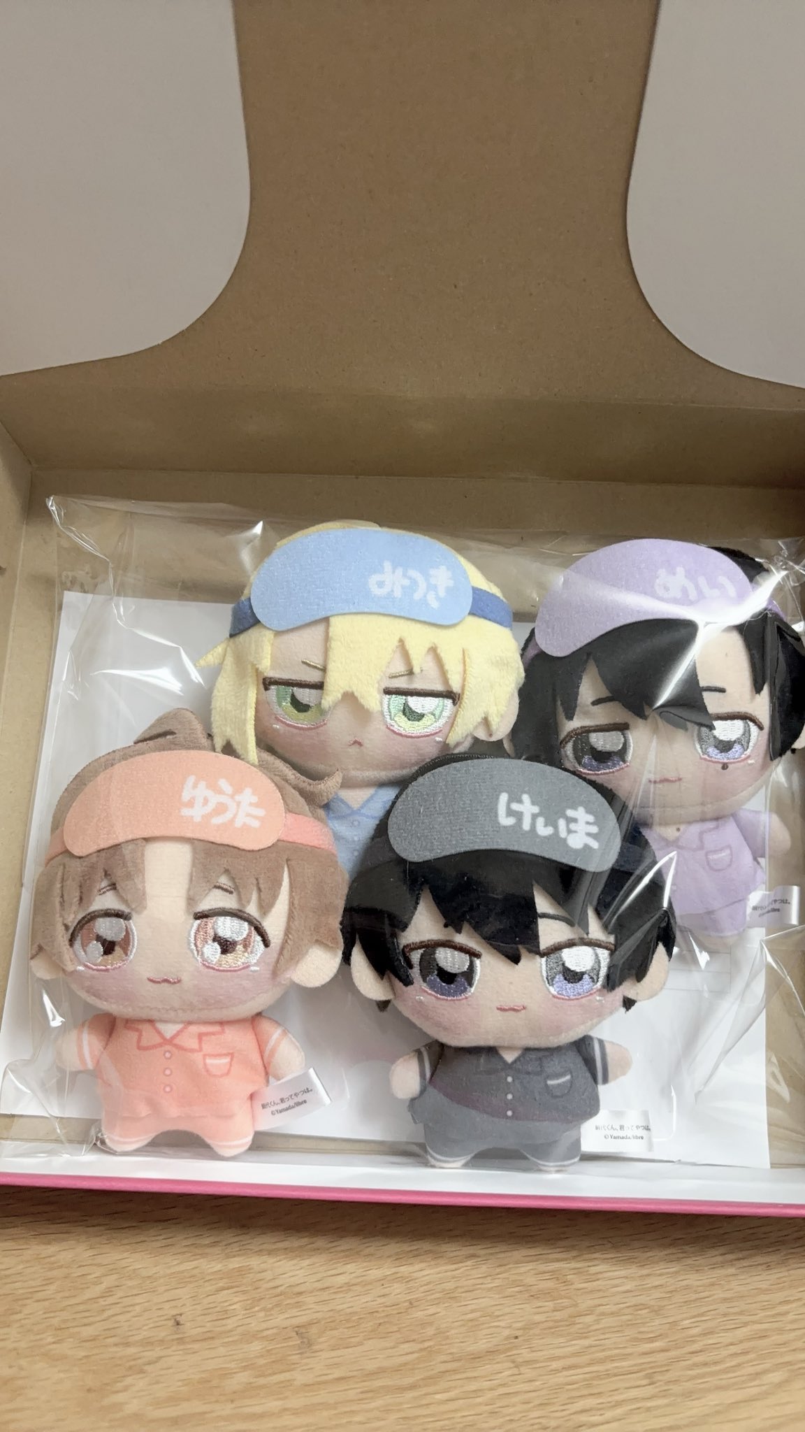 ナムコ限定　鯛代くん、君ってやつは。　ちょぴぬいぷち　全4種 ナムコ限定 鯛代くん、君ってやつは。 ちょぴぬいぷち 全4種