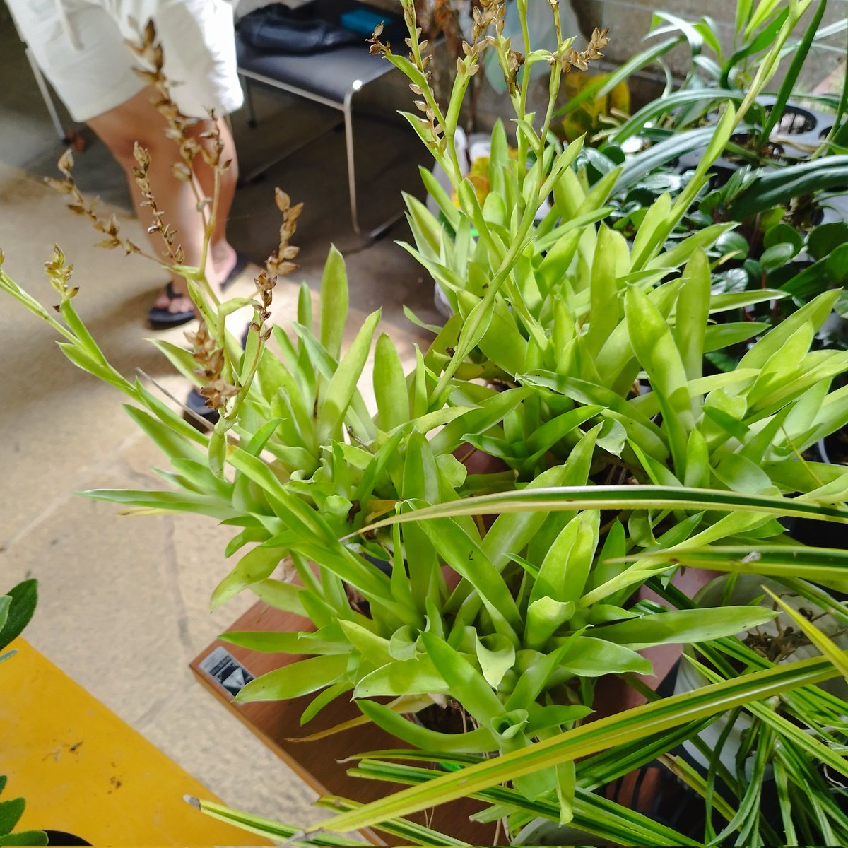 anrigarden tweet picture