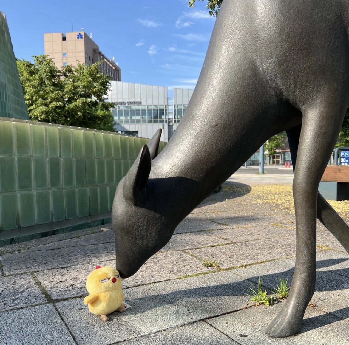 Ohayo! ☺️

📷 @anu_beehappy 

#おはよう #warbieyama #warbie #hokkaido #japan #plushy#warbiebewithyou #arut #arwama