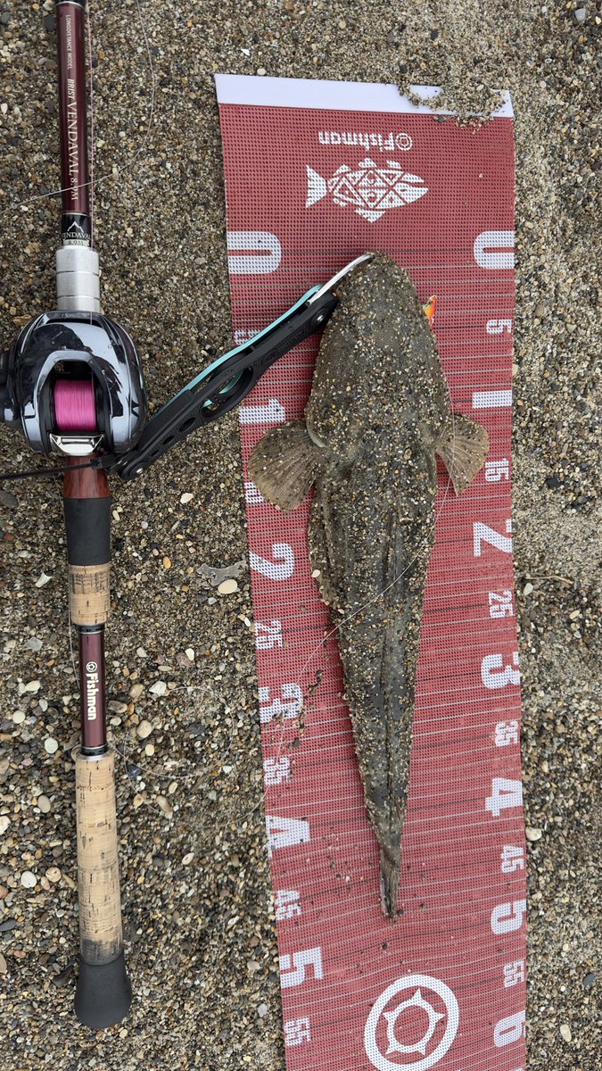 sugerres86's tweet photo. 海だと　リーダー切れないんですよね、、、
#Fishman
#BCLabo
#VENDAVAL89M https://t.co/xbOb4DTaMM
