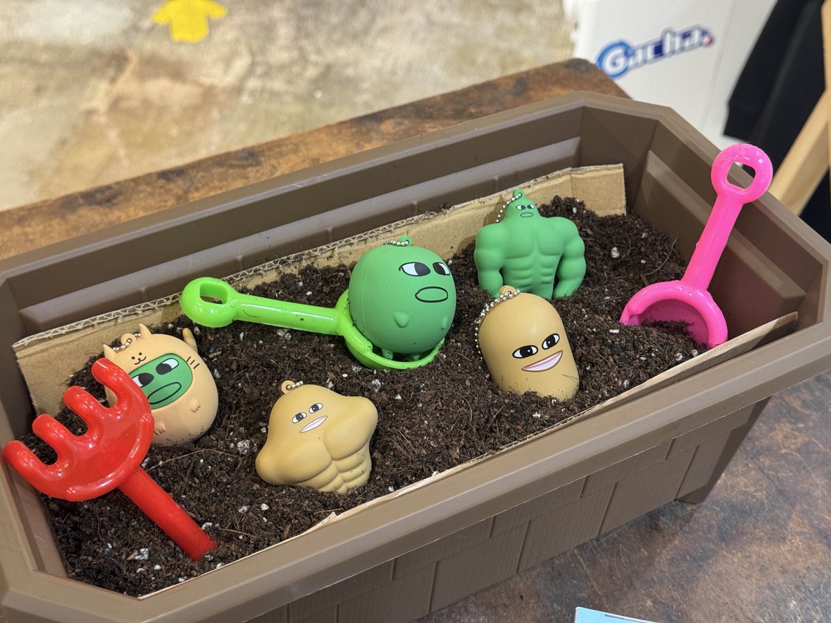 見てこのかわいい芋たち😭 芋収穫祭10月26日まで開催中です 是非きてね