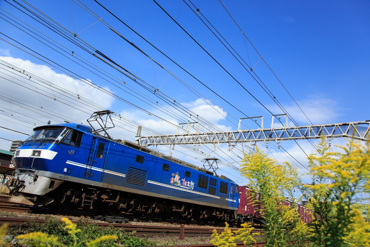 hiro_handa's tweet photo. A Brilliant Autumn Day

EF210-901 ＊ Raulscape 2025 Autumn

Blog：https://t.co/Dzlewh2GP7

10,October,2025 / Tokaido Line

#EF210 #jrfreight #1093レ #秋晴れ #青空 #セイタカアワダチソウ #bluesky #tallgoldenrod #Autumn https://t.co/zAuxbPXaLp