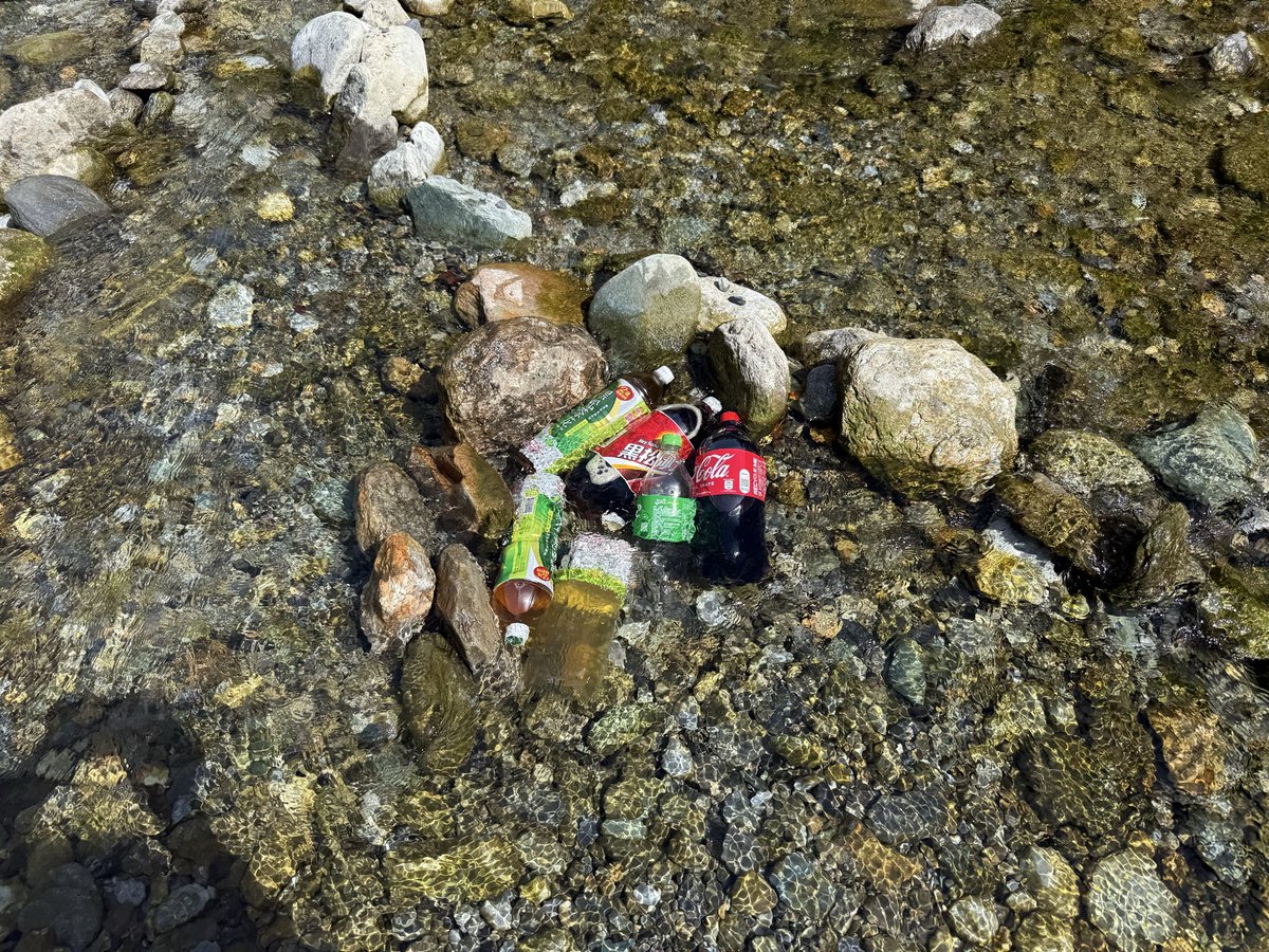 Daniel Chang tweet media