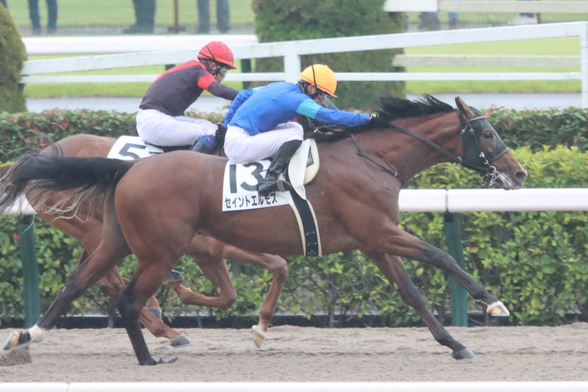 HiyoshiPocket's tweet image. 2025年10月11日
#セイントエルモズ
#菅原明良
#SaintElmos
#2歳新馬
#メイクデビュー東京
#東京競馬場