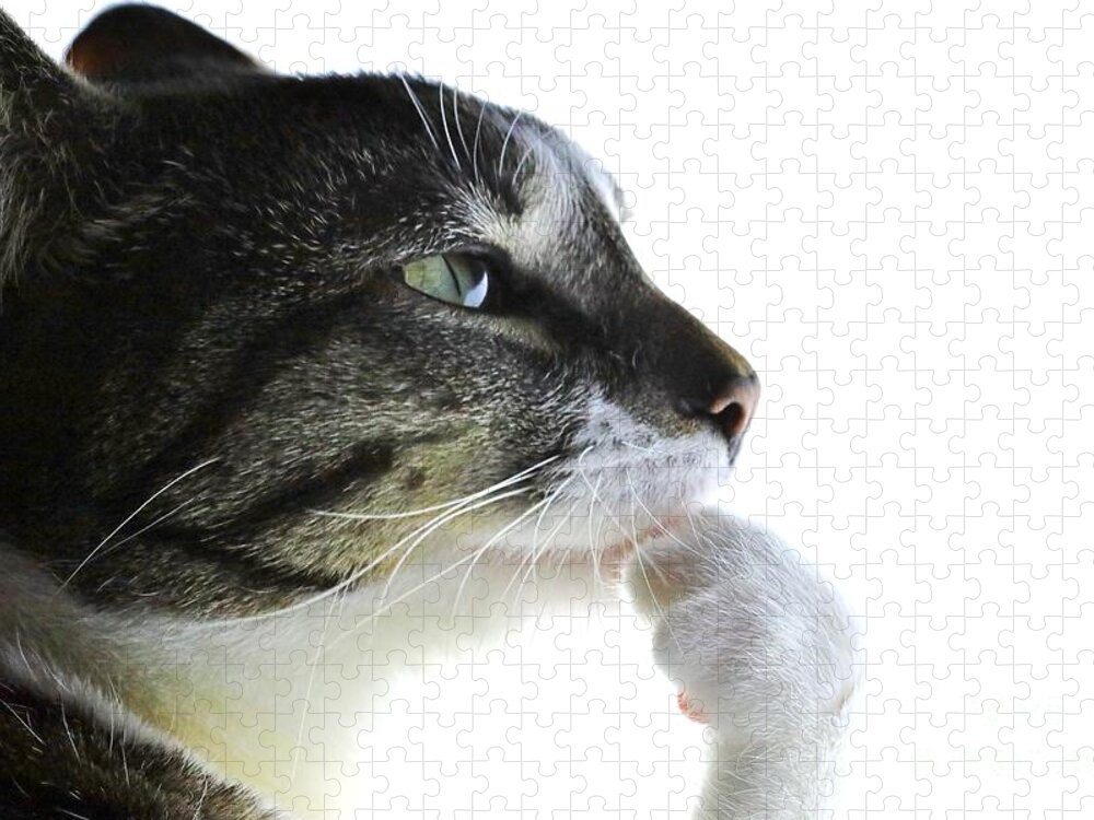 girl_antagonist's tweet image. Parody Twitter victory screens
