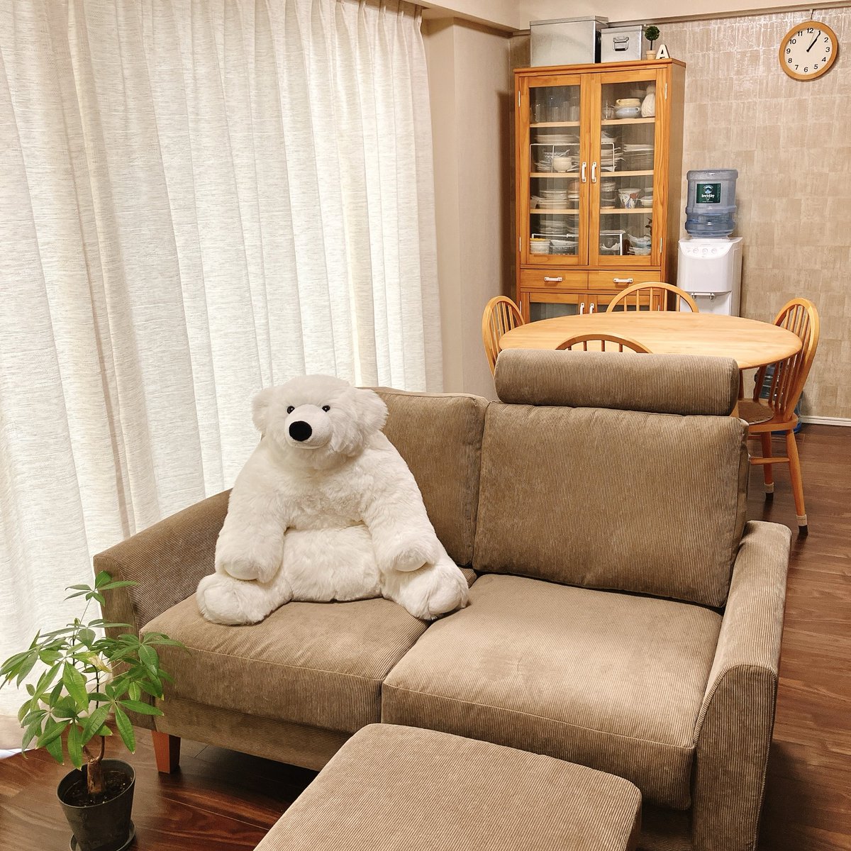 shirokumasensee's tweet image. MOMO NATURALソファが届いた。ナチュラルな雰囲気のリビングに🌱　ソファはオットマンとヘッドレスト付きなので座ってるだけで寝そう💤　カーテンはunico
#MOMONATURAL #unico #家具