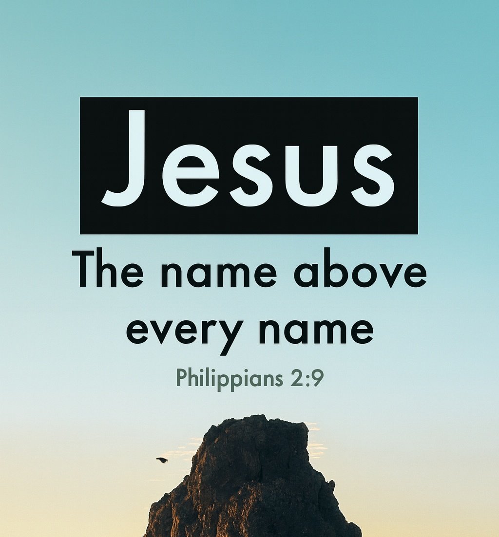 The Bible tweet media