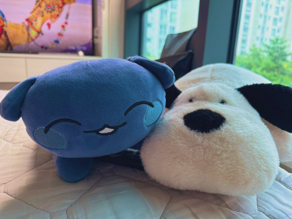자취방 이사 (거의) 끝~~~🥳🥳🥳
크게 기대하진 않았는데 꽤 마음에 드네요.....