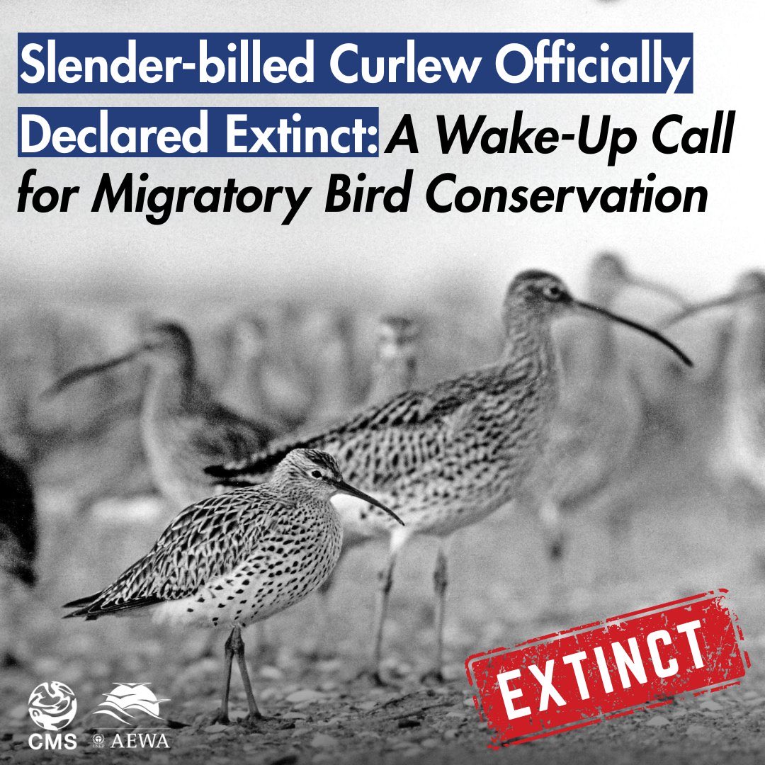 dominic dyer tweet media