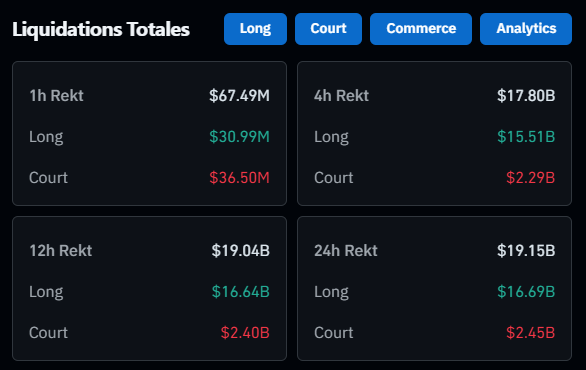 Deep Whale tweet media