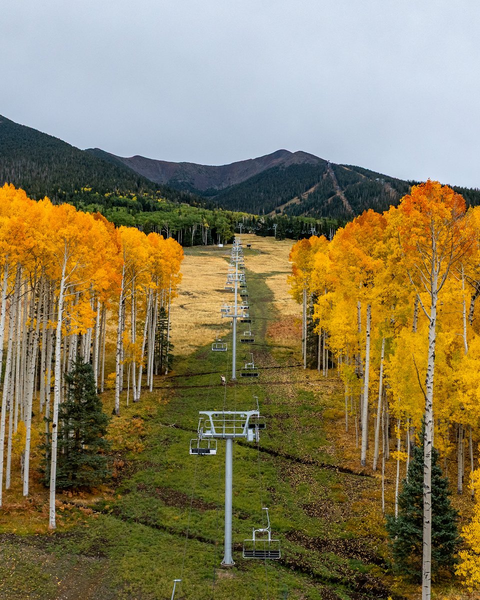 A live look at today’s golden hues 🍂😍 

📸: 10.10.25