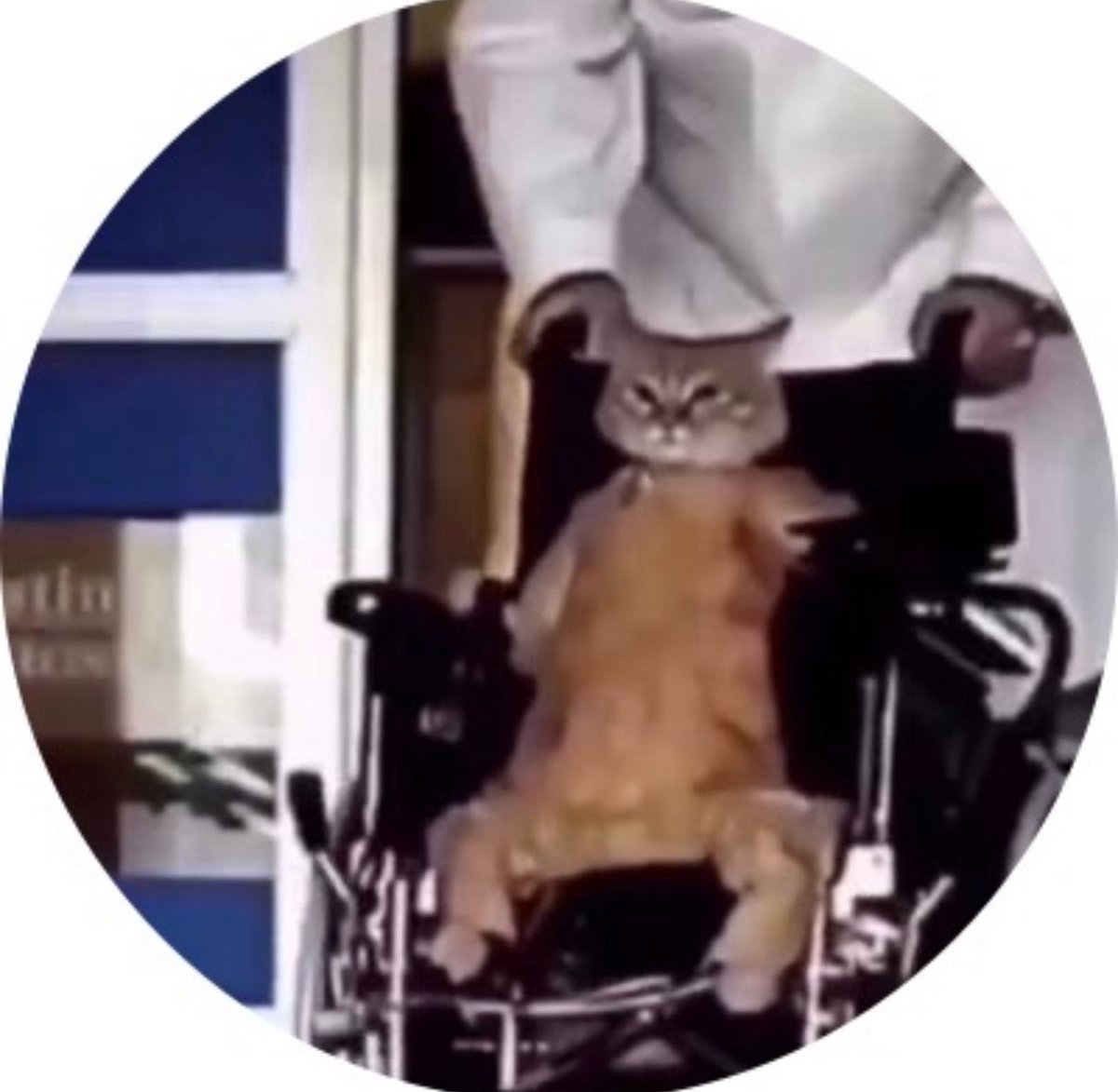 I know who can save us.