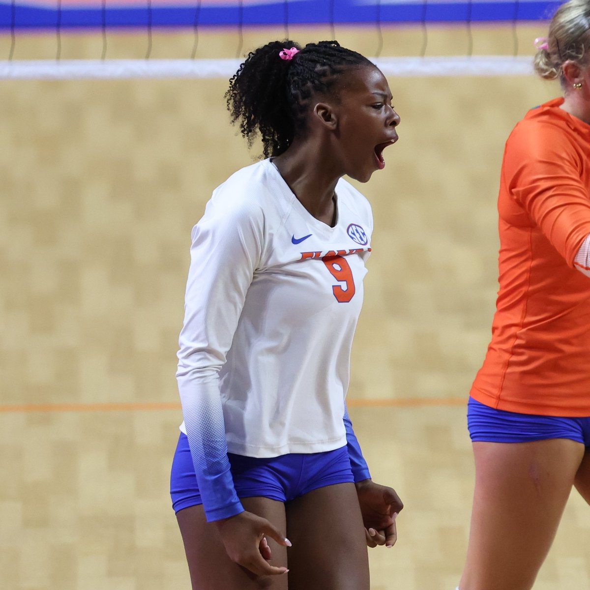 Gators Volleyball tweet media