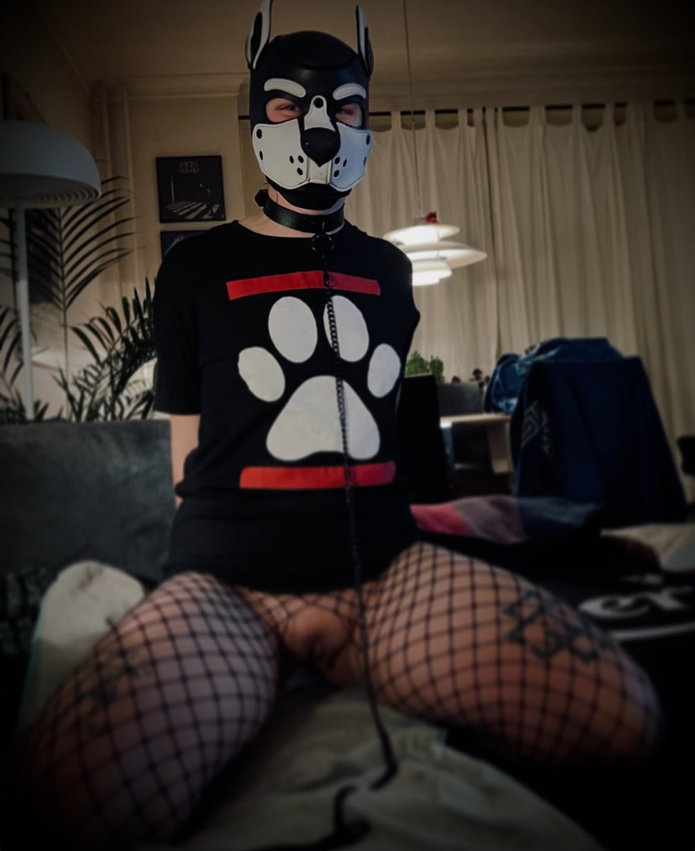 Eyooo, dumb dog on da couch🐶