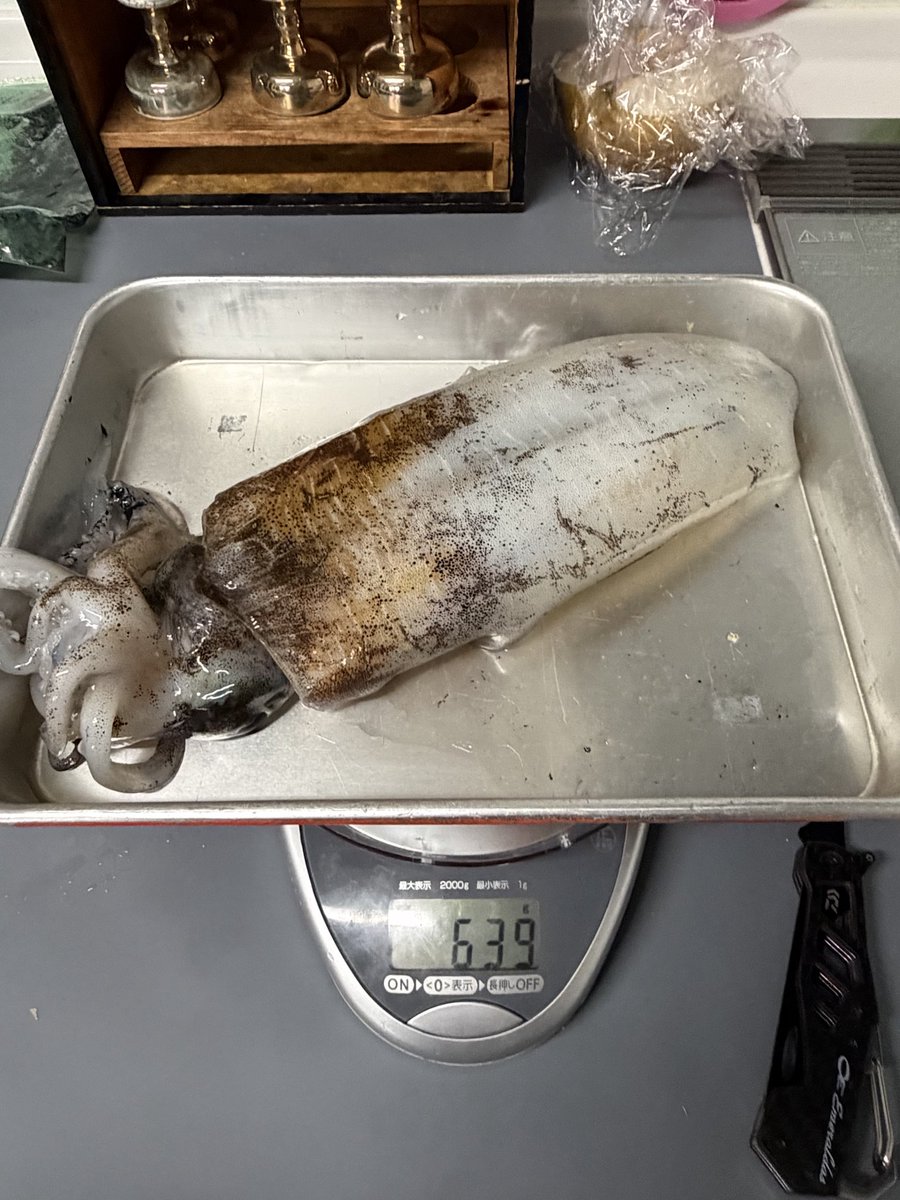 りょうへい (@ryouhei118) / Posts / X