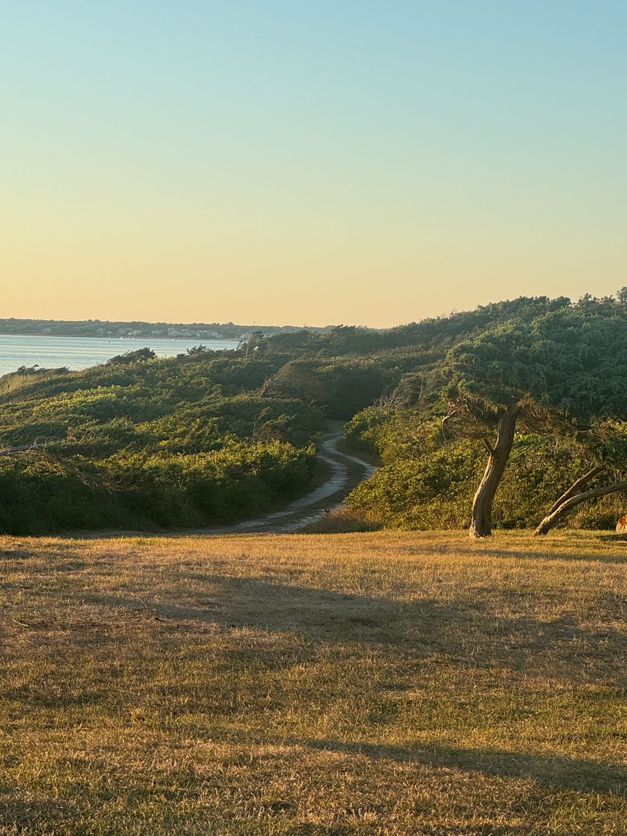 One Pitch at a Time - mailchi.mp/chenmark/onepi… how to play in the big leagues