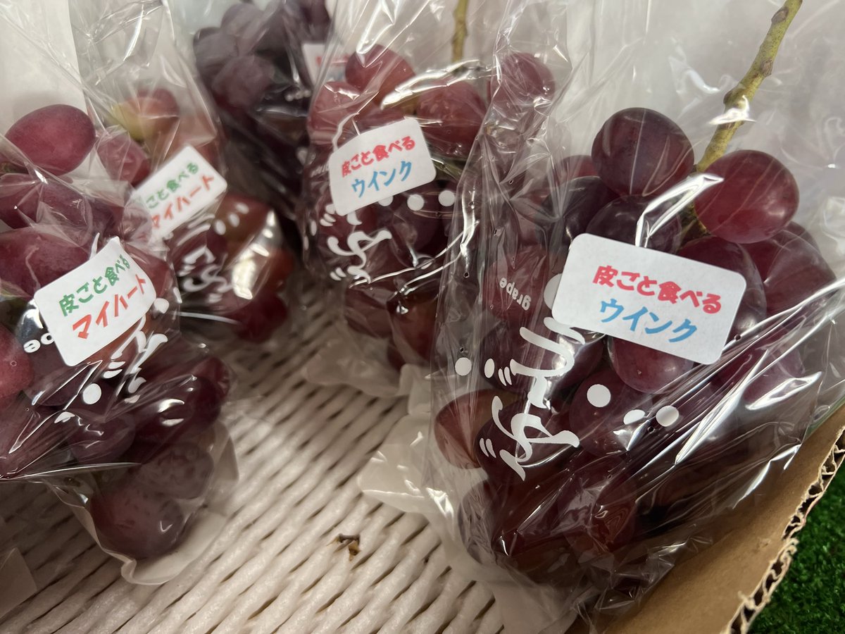 fu_kuu's tweet photo. 古内果樹園直売所営業中です！この三連休が最終販売となる見込みです。一房から贈答用詰め合わせまで多種多様ご用意してございます！
Webショップ「フルーチフルーツ」https://t.co/hig6mTTCynも在庫ある限り対応可能です！
シーズン終盤よろしくお願いいたします！
#古内果樹園 https://t.co/2dWH2ouASq