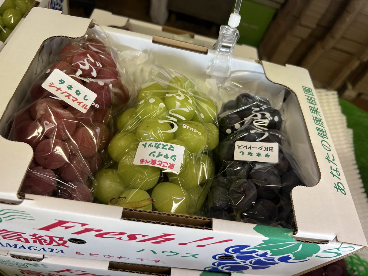 fu_kuu's tweet photo. 古内果樹園直売所営業中です！この三連休が最終販売となる見込みです。一房から贈答用詰め合わせまで多種多様ご用意してございます！
Webショップ「フルーチフルーツ」https://t.co/hig6mTTCynも在庫ある限り対応可能です！
シーズン終盤よろしくお願いいたします！
#古内果樹園 https://t.co/2dWH2ouASq