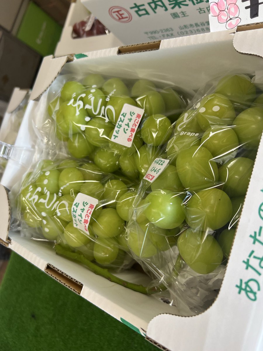 fu_kuu's tweet photo. 古内果樹園直売所営業中です！この三連休が最終販売となる見込みです。一房から贈答用詰め合わせまで多種多様ご用意してございます！
Webショップ「フルーチフルーツ」https://t.co/hig6mTTCynも在庫ある限り対応可能です！
シーズン終盤よろしくお願いいたします！
#古内果樹園 https://t.co/2dWH2ouASq