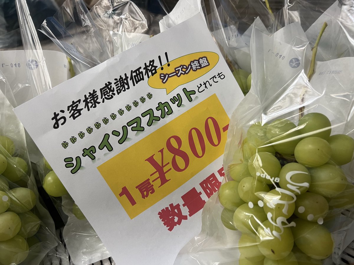 fu_kuu's tweet photo. 古内果樹園直売所営業中です！この三連休が最終販売となる見込みです。一房から贈答用詰め合わせまで多種多様ご用意してございます！
Webショップ「フルーチフルーツ」https://t.co/hig6mTTCynも在庫ある限り対応可能です！
シーズン終盤よろしくお願いいたします！
#古内果樹園 https://t.co/2dWH2ouASq