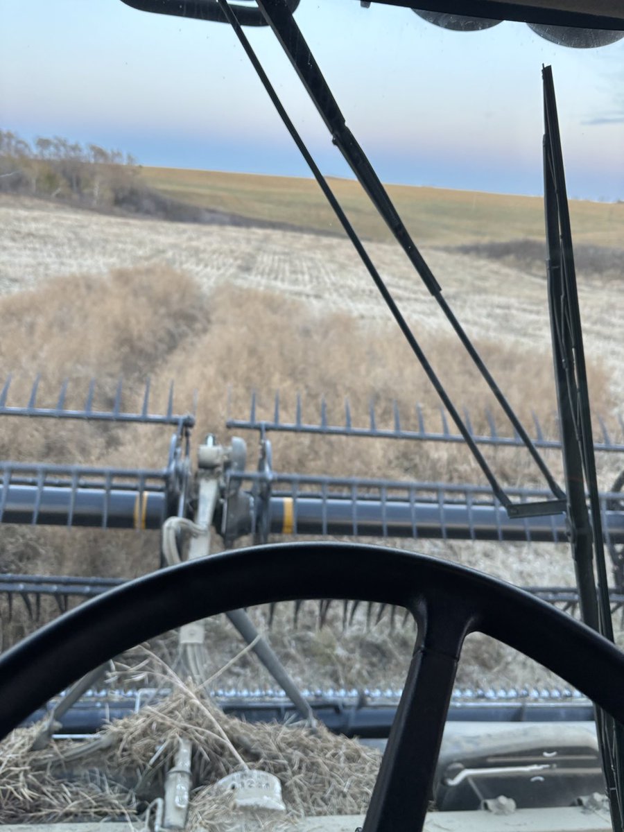 Wade McNeil tweet media