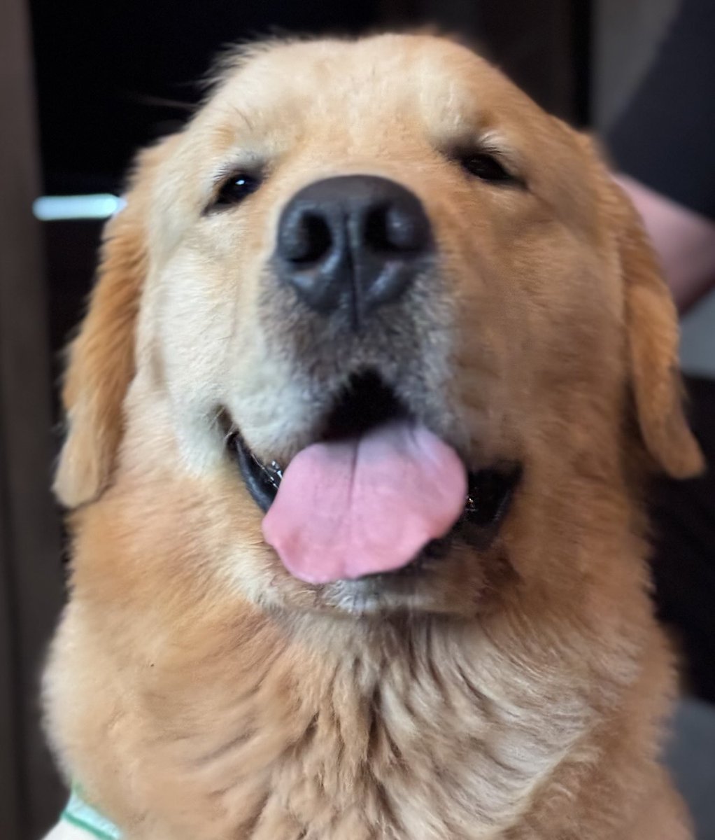 Kirk Herbstreit tweet media