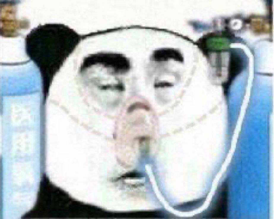 Meme of a distressed panda on oxygen, symbolizing crypto traders after massive liquidations