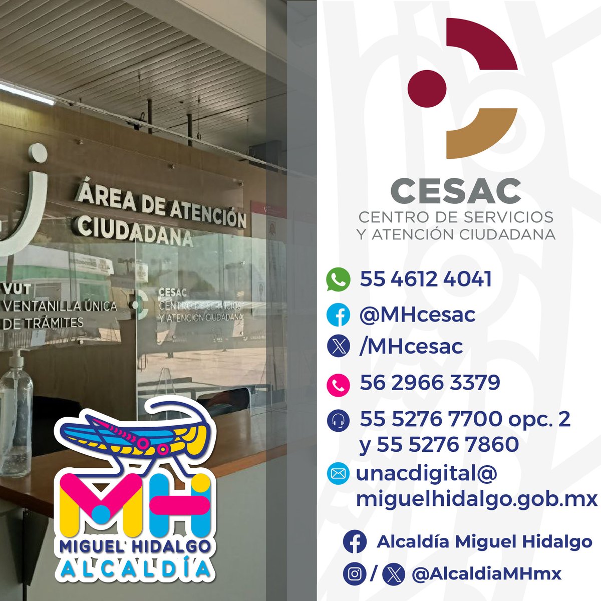 Servicios Urbanos MH tweet media