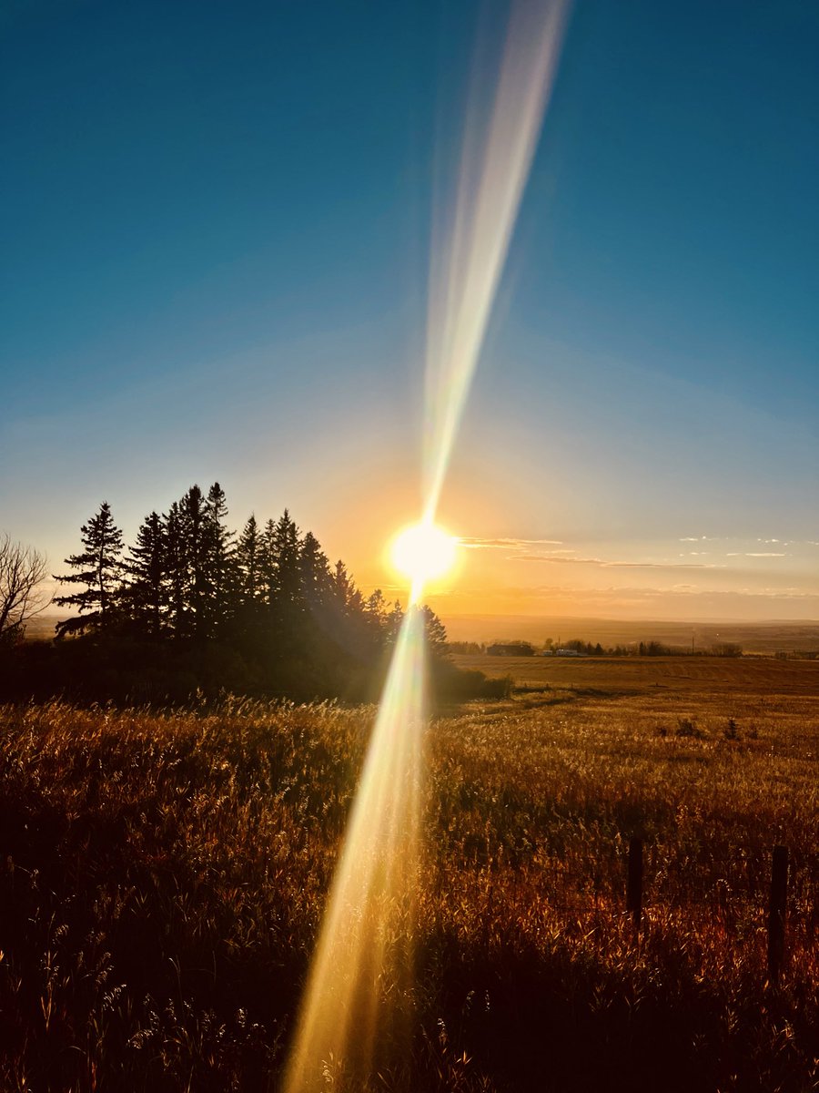 Roblaird681344's tweet image. Friday evening sunset on Gladys Ridge Alberta Canada 🌅😊🇨🇦
