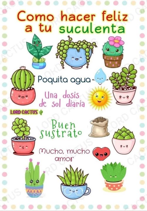 Quiero una planta
